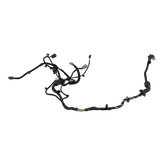 ASY,HARN,MS,FR LEFT HAND DOOR,LEFT HAND DRIVE 2486397-00-C